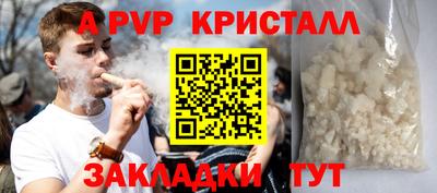 СК Рыбинск
