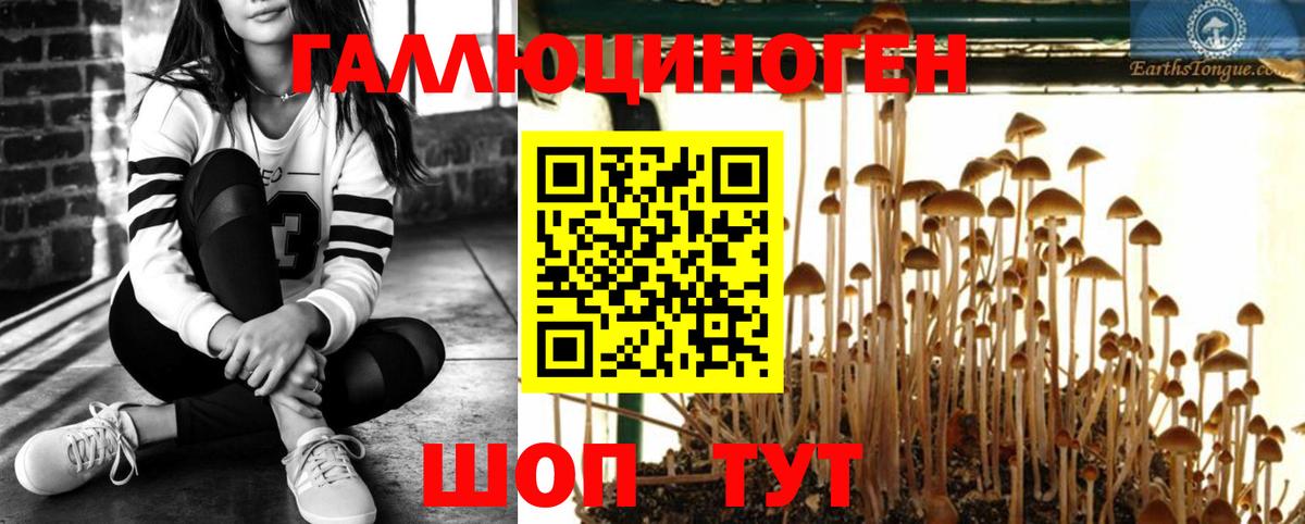 Псилоцибиновые грибы мицелий Рязань